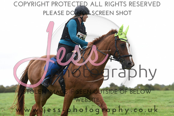 TREC (14)