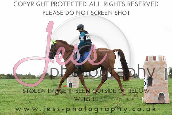 TREC (15)