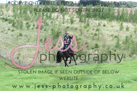 TREC (29)