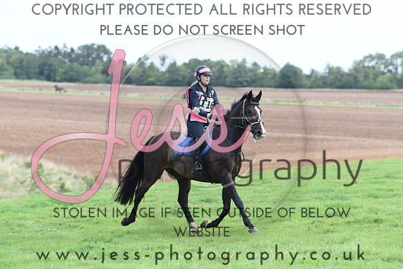 TREC (31)