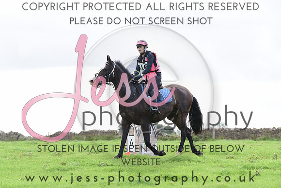 TREC (33)