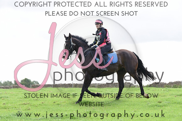 TREC (34)