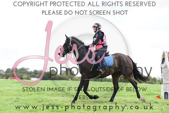 TREC (41)