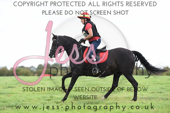 TREC (478)