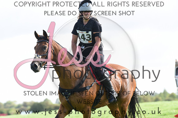 TREC (48)