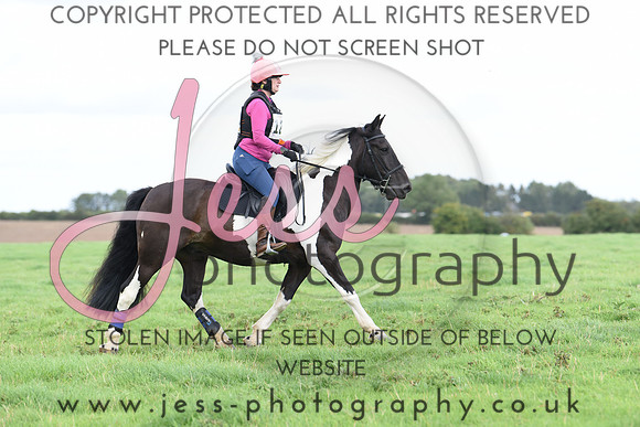 TREC (486)