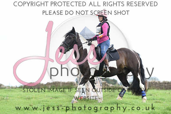 TREC (488)