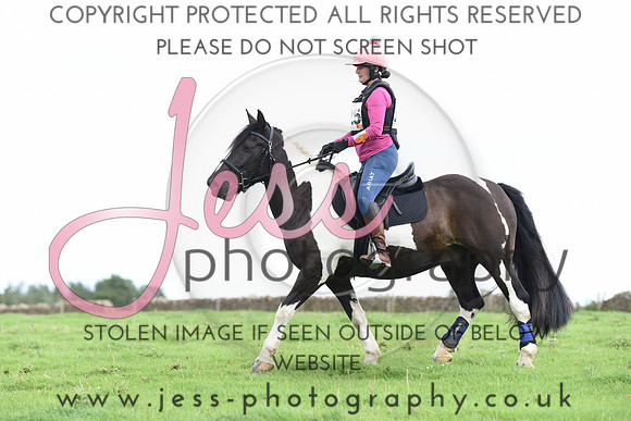 TREC (489)