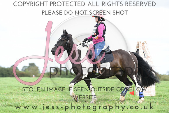 TREC (495)