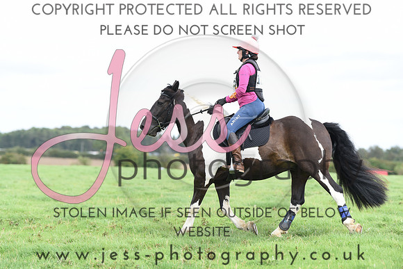 TREC (497)