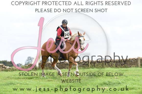 TREC (511)