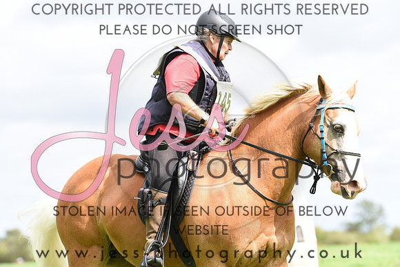 TREC (519)