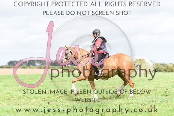 TREC (523)