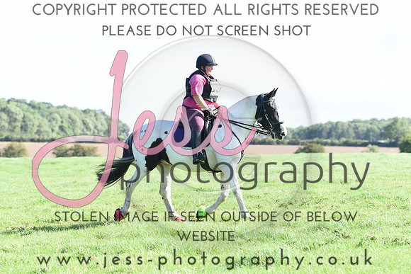 TREC (91)