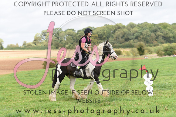 TREC (527)