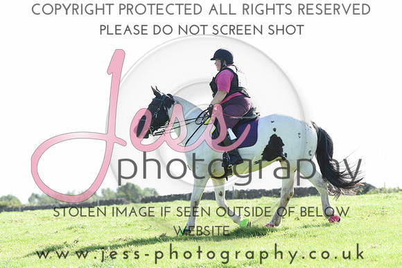 TREC (95)