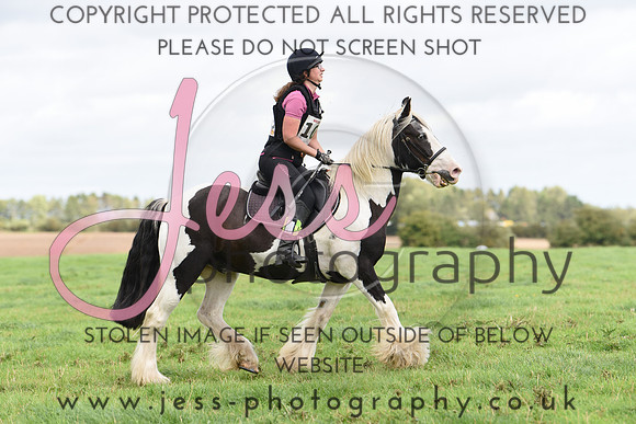 TREC (529)