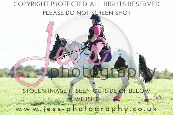 TREC (100)