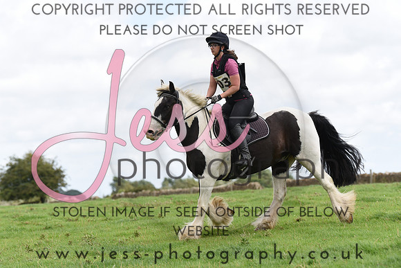 TREC (532)