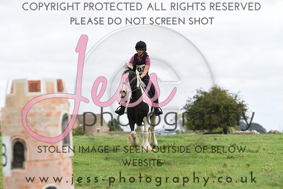 TREC (537)