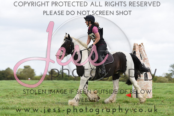 TREC (538)