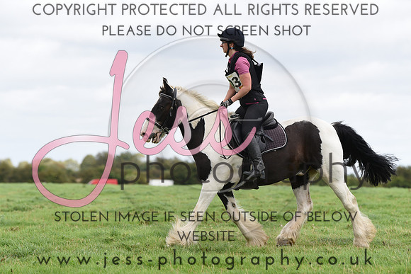 TREC (539)