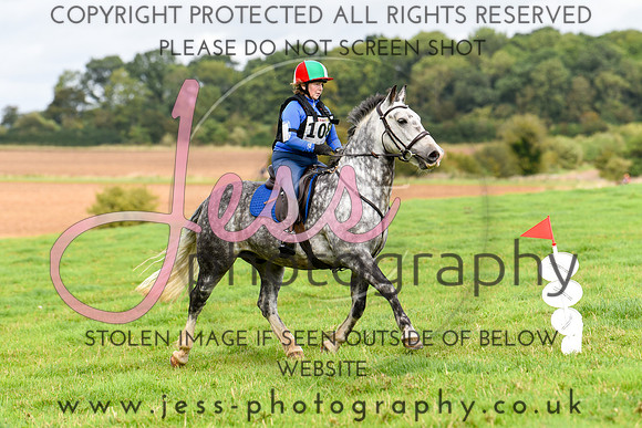 TREC (542)