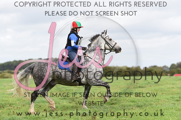 TREC (544)