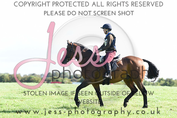 TREC (115)