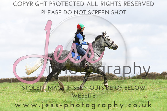 TREC (545)