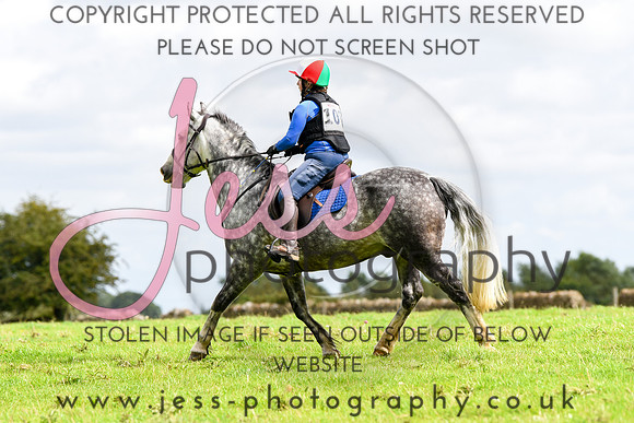 TREC (546)