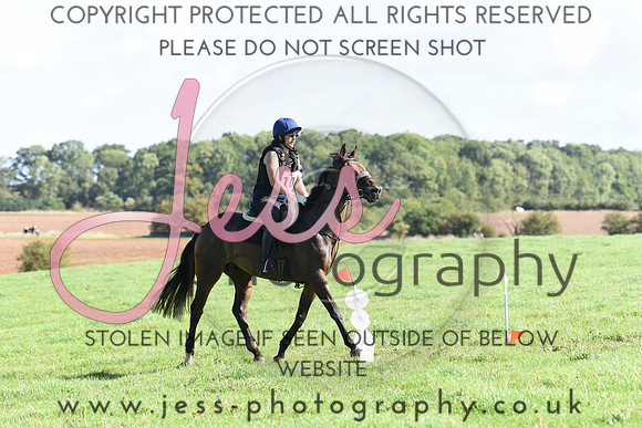 TREC (117)