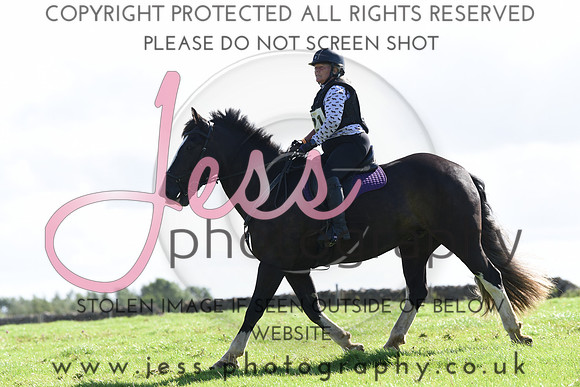 TREC (133)