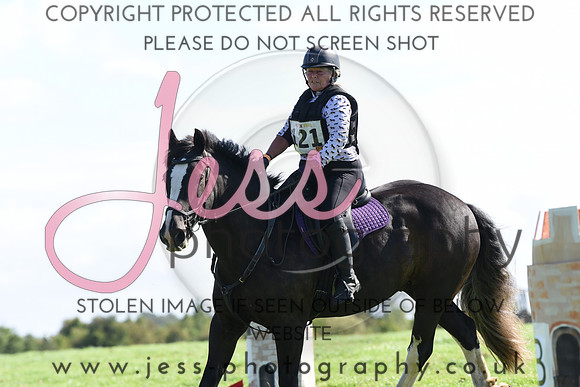 TREC (135)