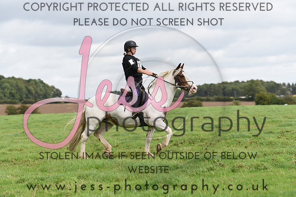 TREC (569)