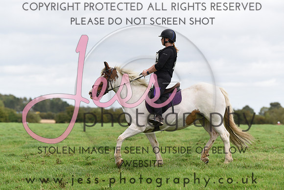 TREC (575)