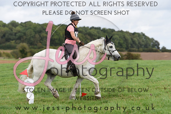 TREC (579)