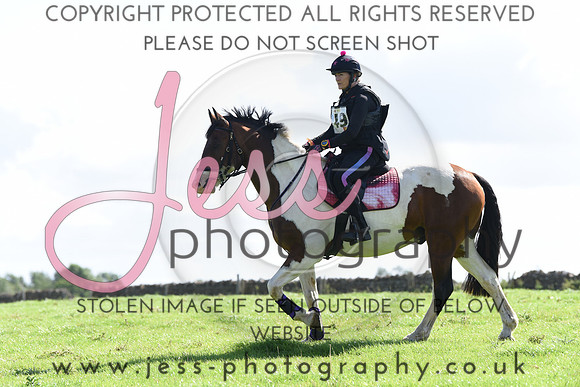 TREC (155)