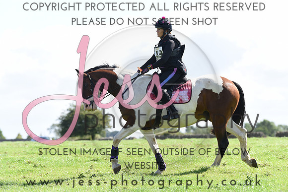 TREC (156)