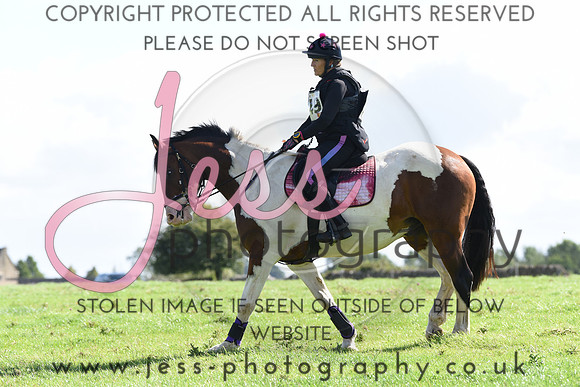 TREC (157)