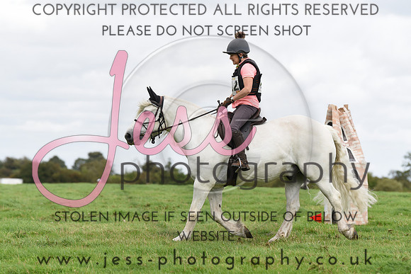 TREC (593)