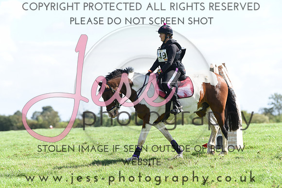 TREC (169)