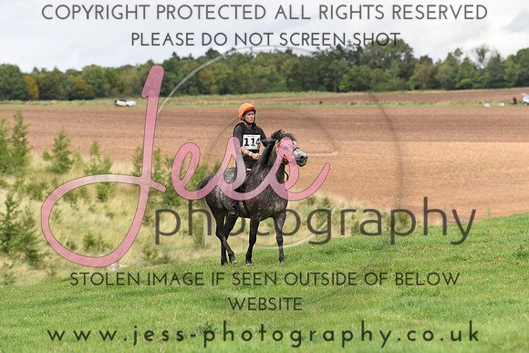 TREC (595)