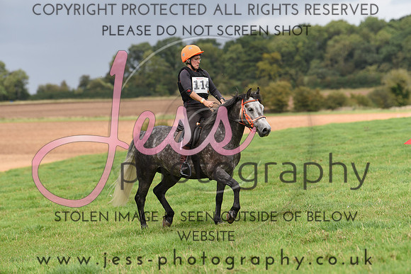 TREC (599)