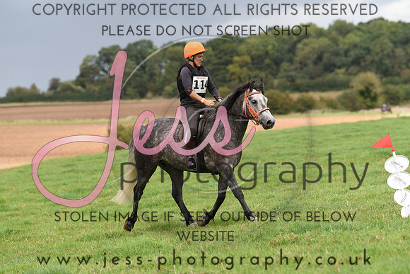 TREC (600)