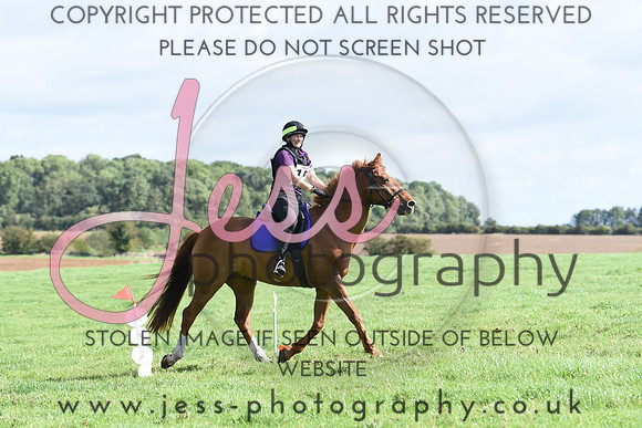 TREC (175)
