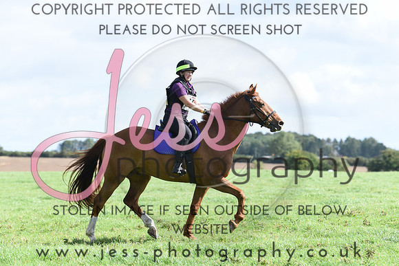 TREC (176)