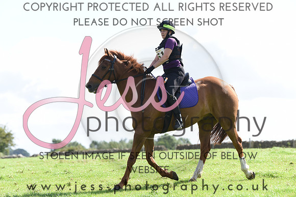 TREC (180)