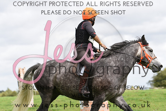 TREC (611)