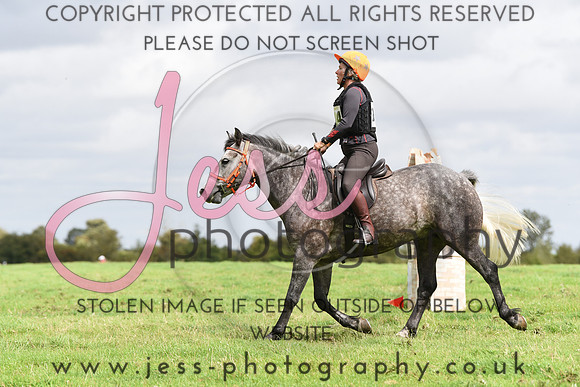 TREC (613)